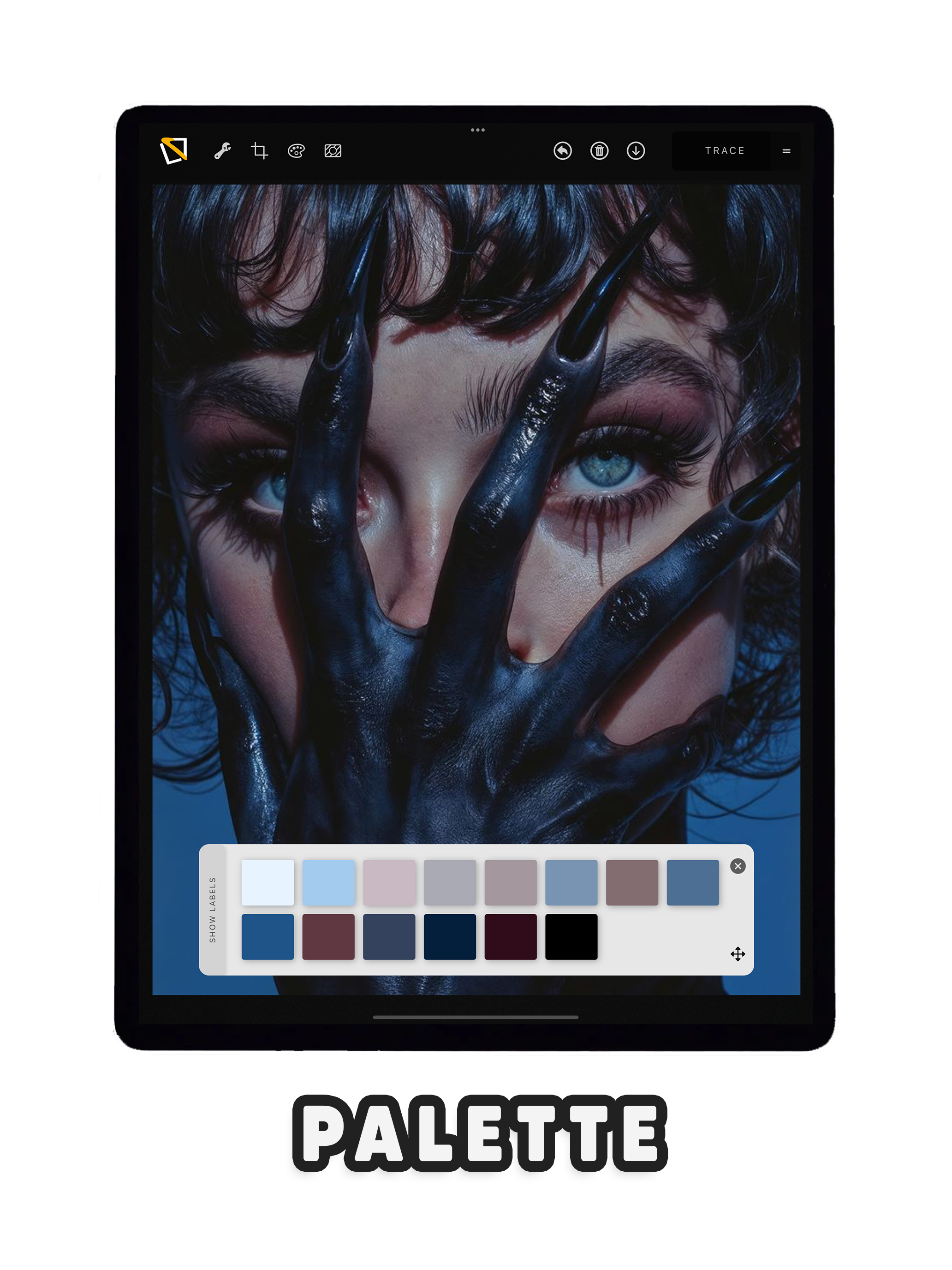 TattooLkit Background Removal